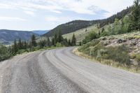 Off Road Track in Crested Butte: Immersed in Nature